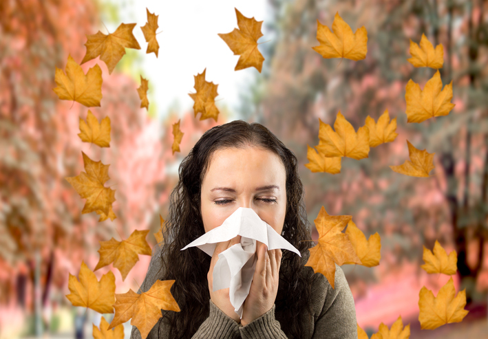 fall allergies