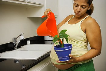 A pregnant woman in a tank top waters a houseplant by the sink