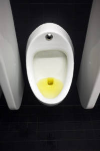 urine in toilet
