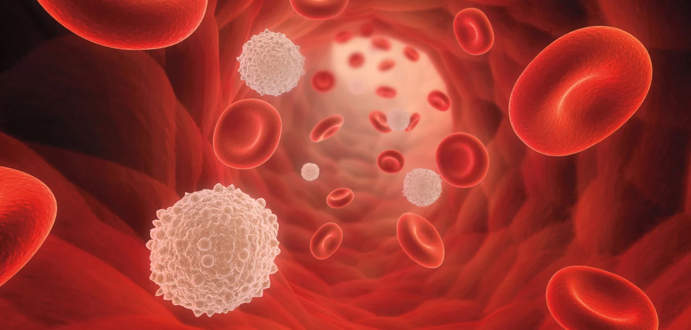 Ampliando las Opciones de Trasplante de Células Madre: Ciclofosfamida Ofrece Esperanza a Pacientes Diversos con Cáncer de Sangre