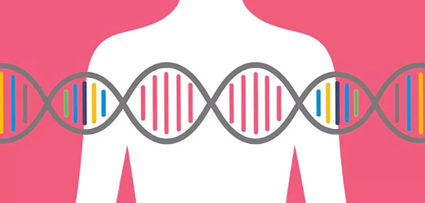 Explorando la Conciencia sobre las Pruebas Genéticas en Supervivientes de Cáncer de Mama Latinas