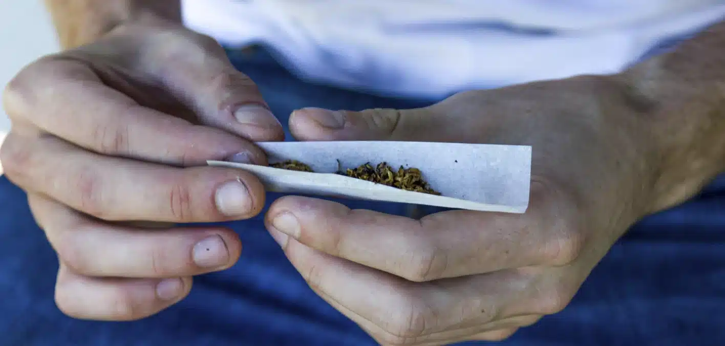 El Cannabis de Alta Potencia Desata Debates Estatales Sobre Riesgos de Psicosis y Adicción